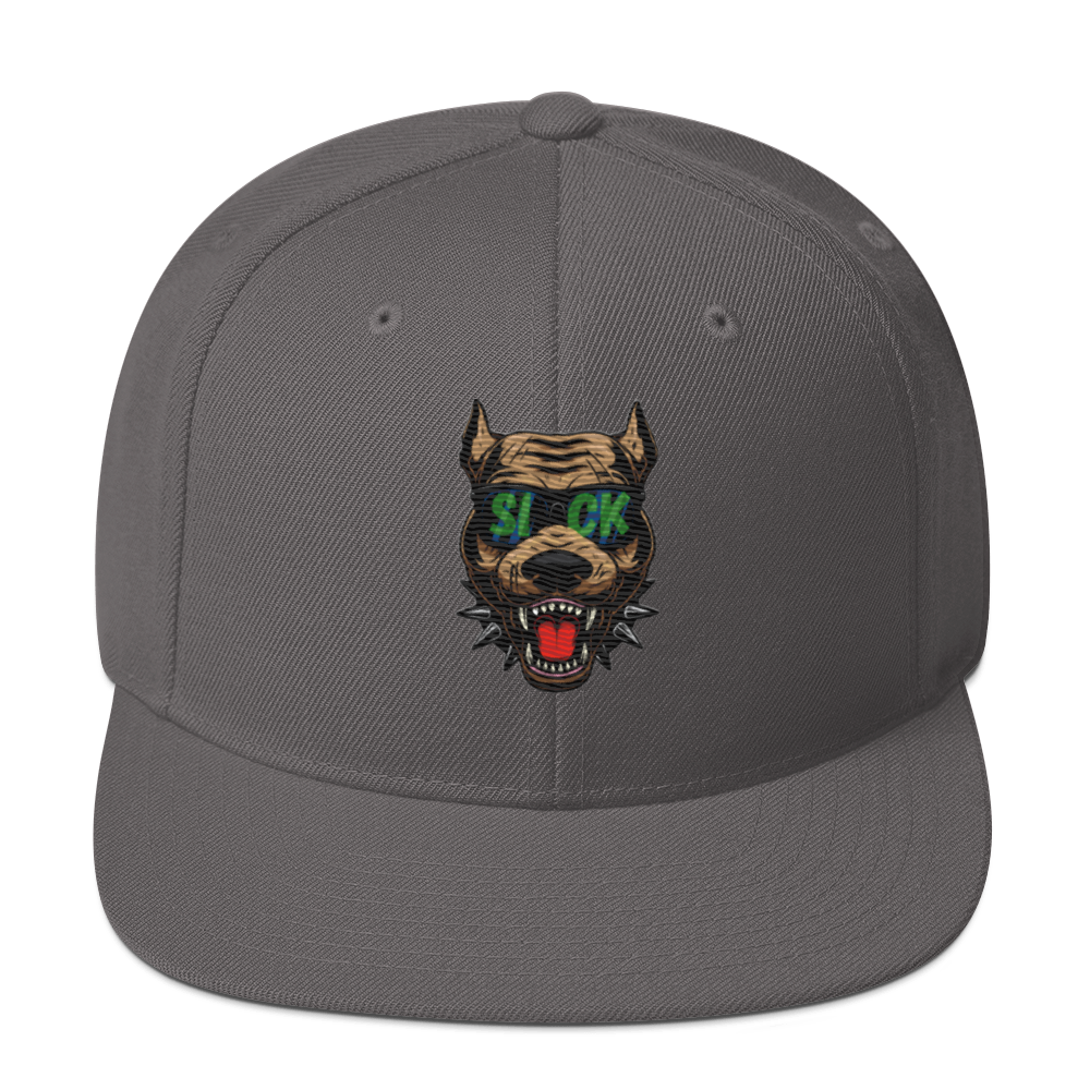 Snapback Hat